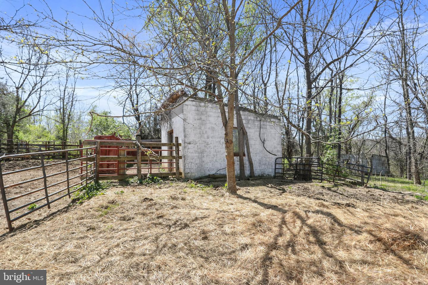 Winchester Rd Property Photo 86