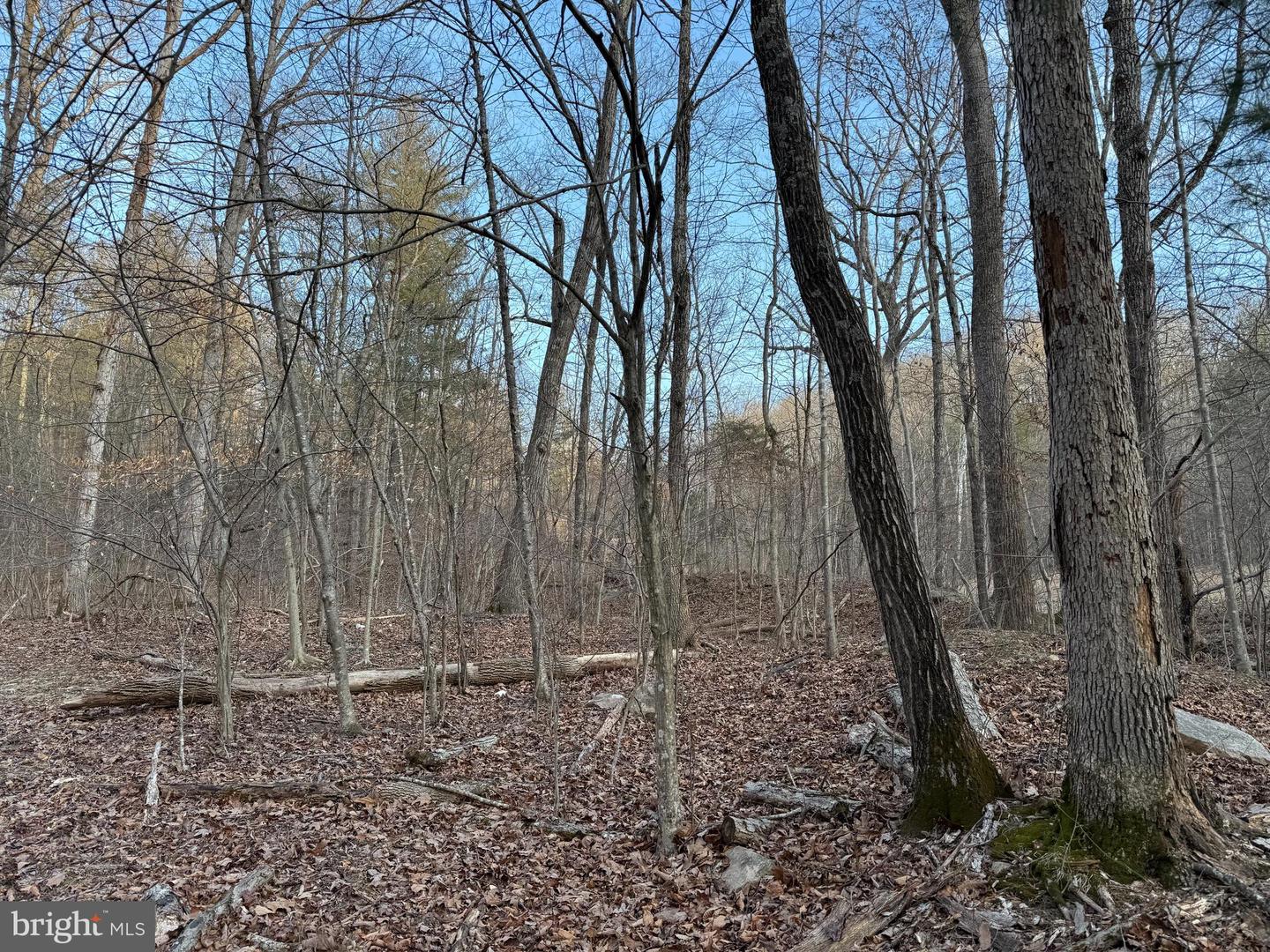 Lot 90a,91a,129,130,131 Vesey Dr Property Photo
