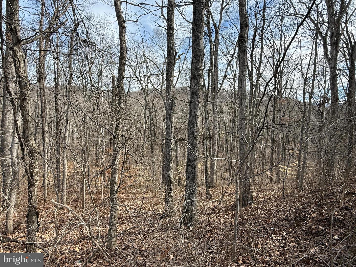 Lot 236,238,239,240 Howellsville Rd Property Photo