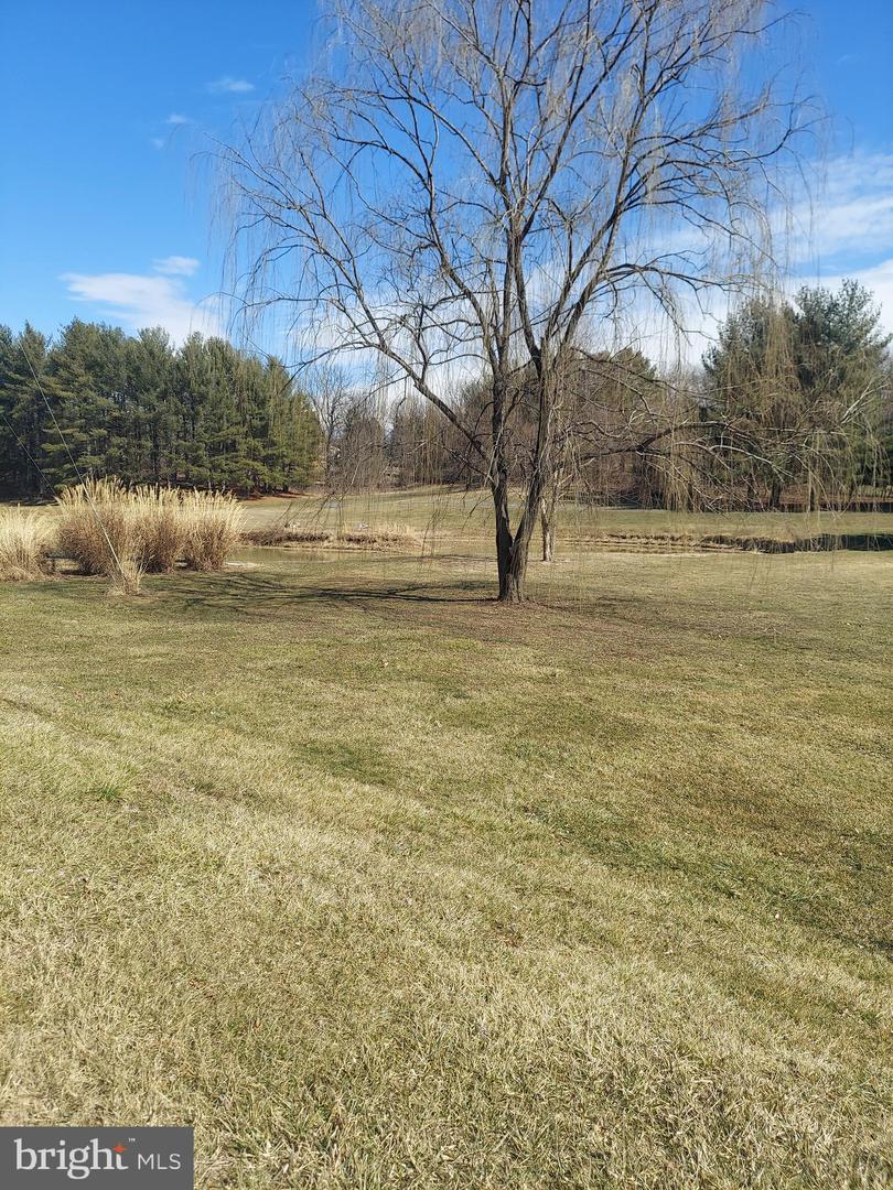 0 Bowling Green Road Property Photo 6
