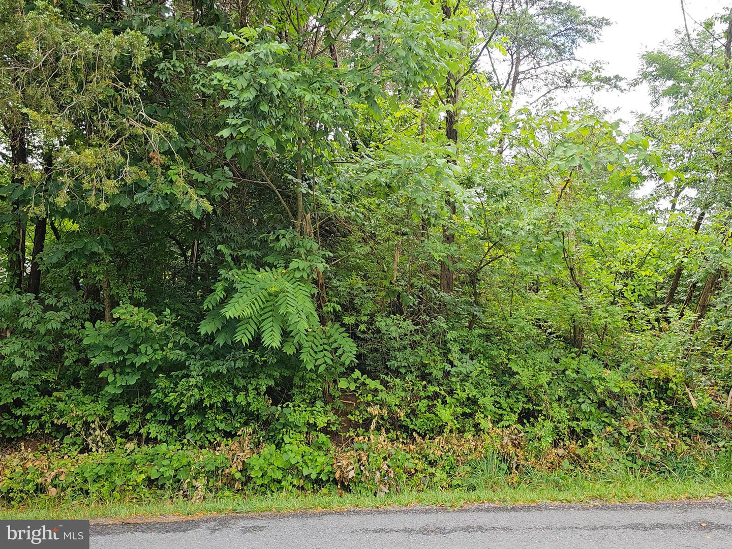 Woodward Ln Property Photo 1