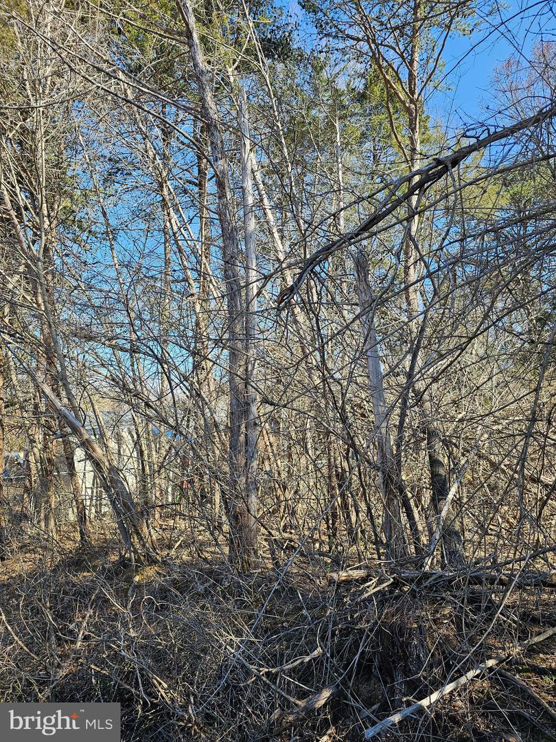 Woodward Ln Property Photo 2