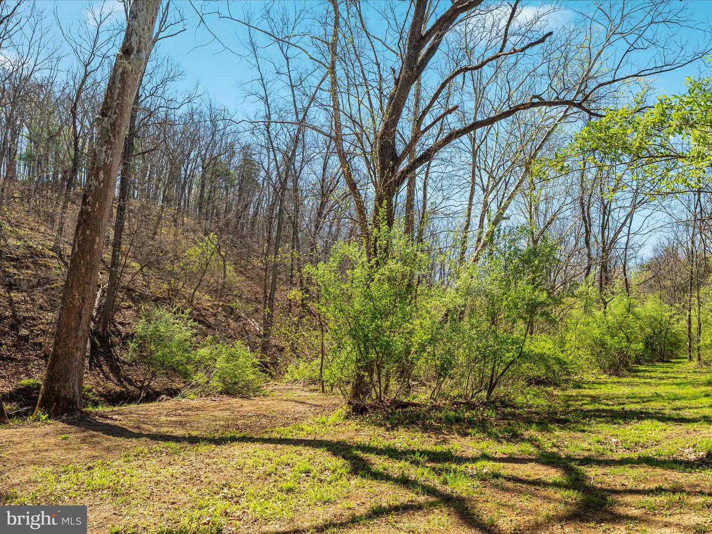 92 Oak Hill Ct Property Photo 39