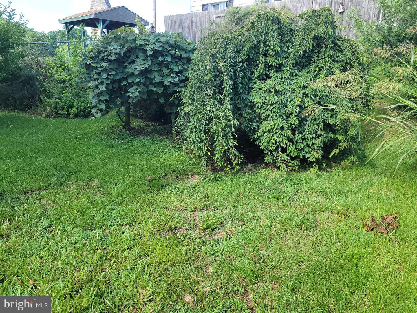 1321 Woodside Ave Property Photo 28