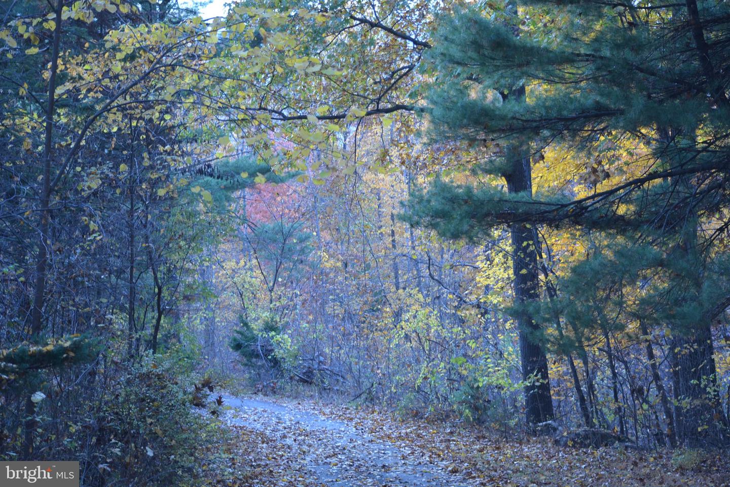 400 View Point Ln Property Photo 14