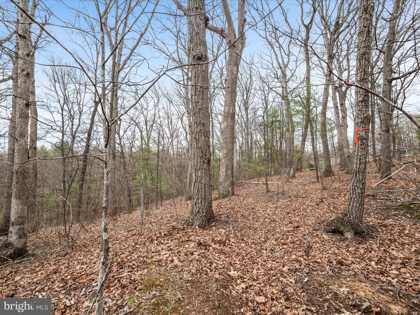 Lakeside Dr Property Photo 3