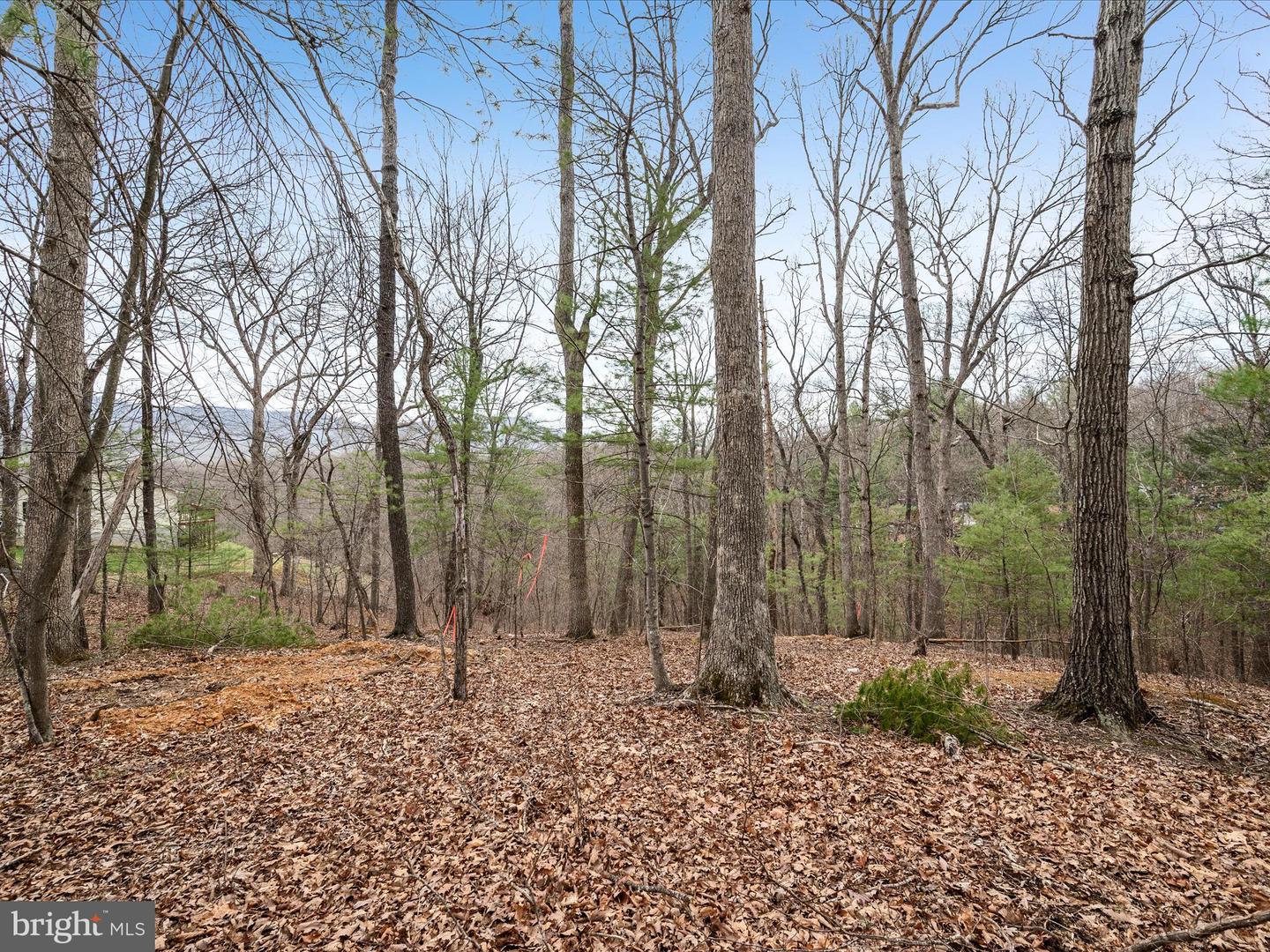 Lakeside Dr Property Photo 4