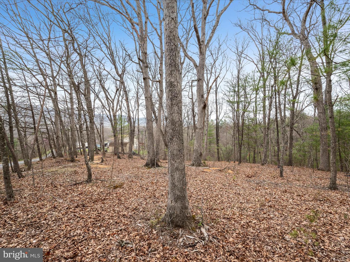 Lakeside Dr Property Photo 5