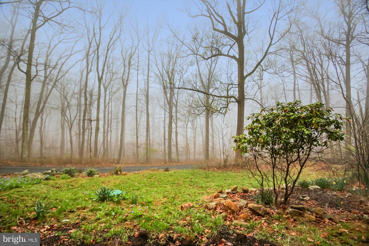 3543 Blue Mountain Rd Property Photo 64