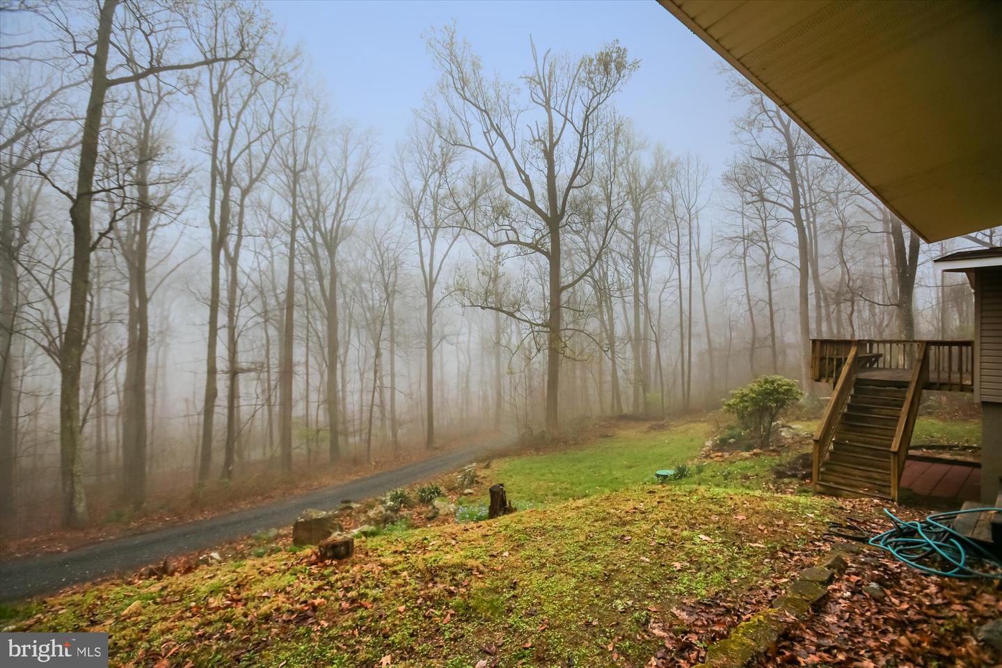 3543 Blue Mountain Rd Property Photo 65