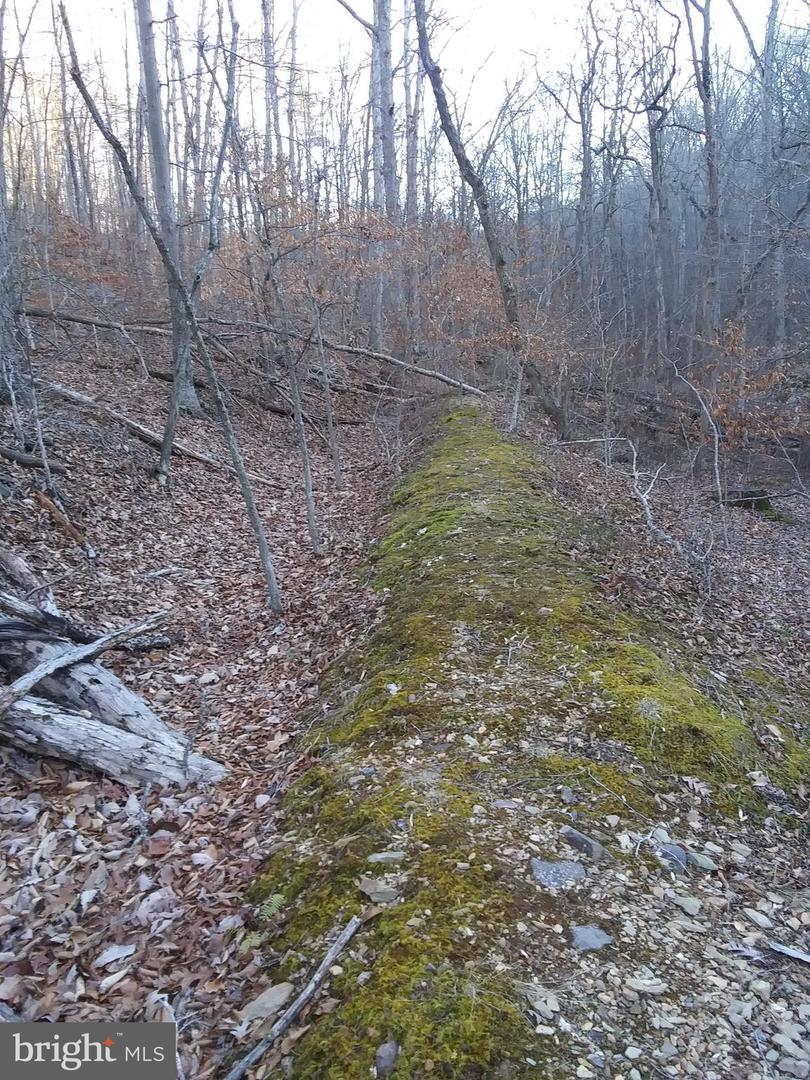 Drummer Hill Rd Property Photo 1