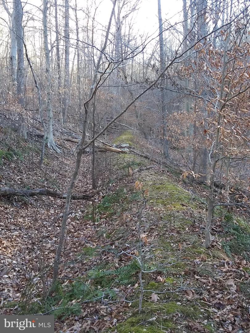 Drummer Hill Rd Property Photo 3