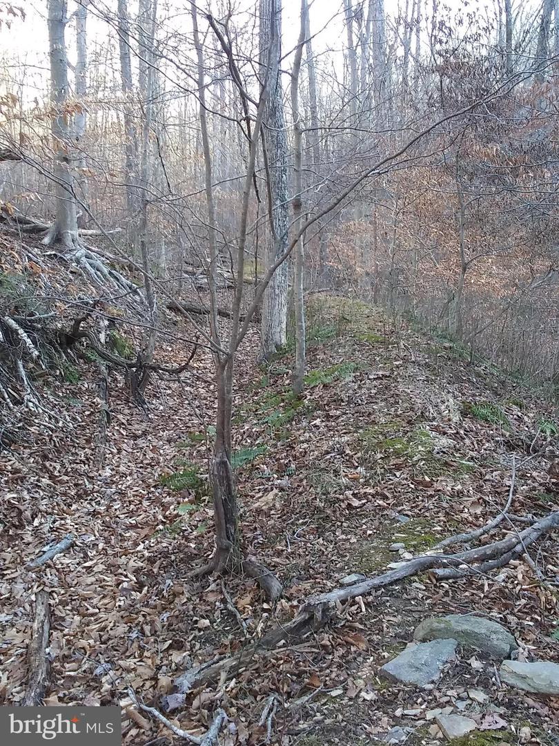Drummer Hill Rd Property Photo 4