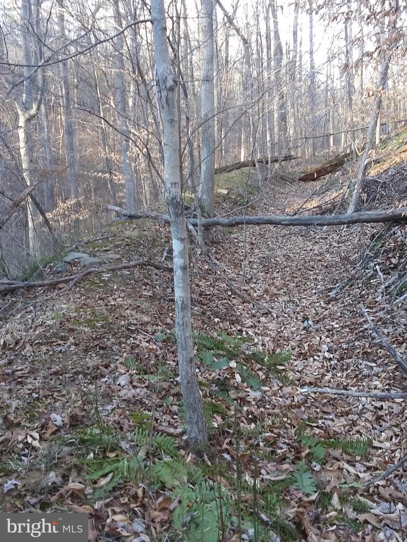 Drummer Hill Rd Property Photo 5