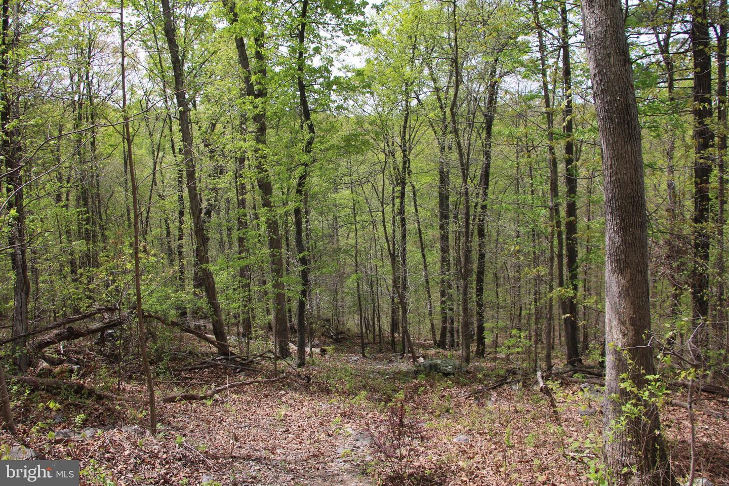 Drummer Hill Rd Property Photo 6
