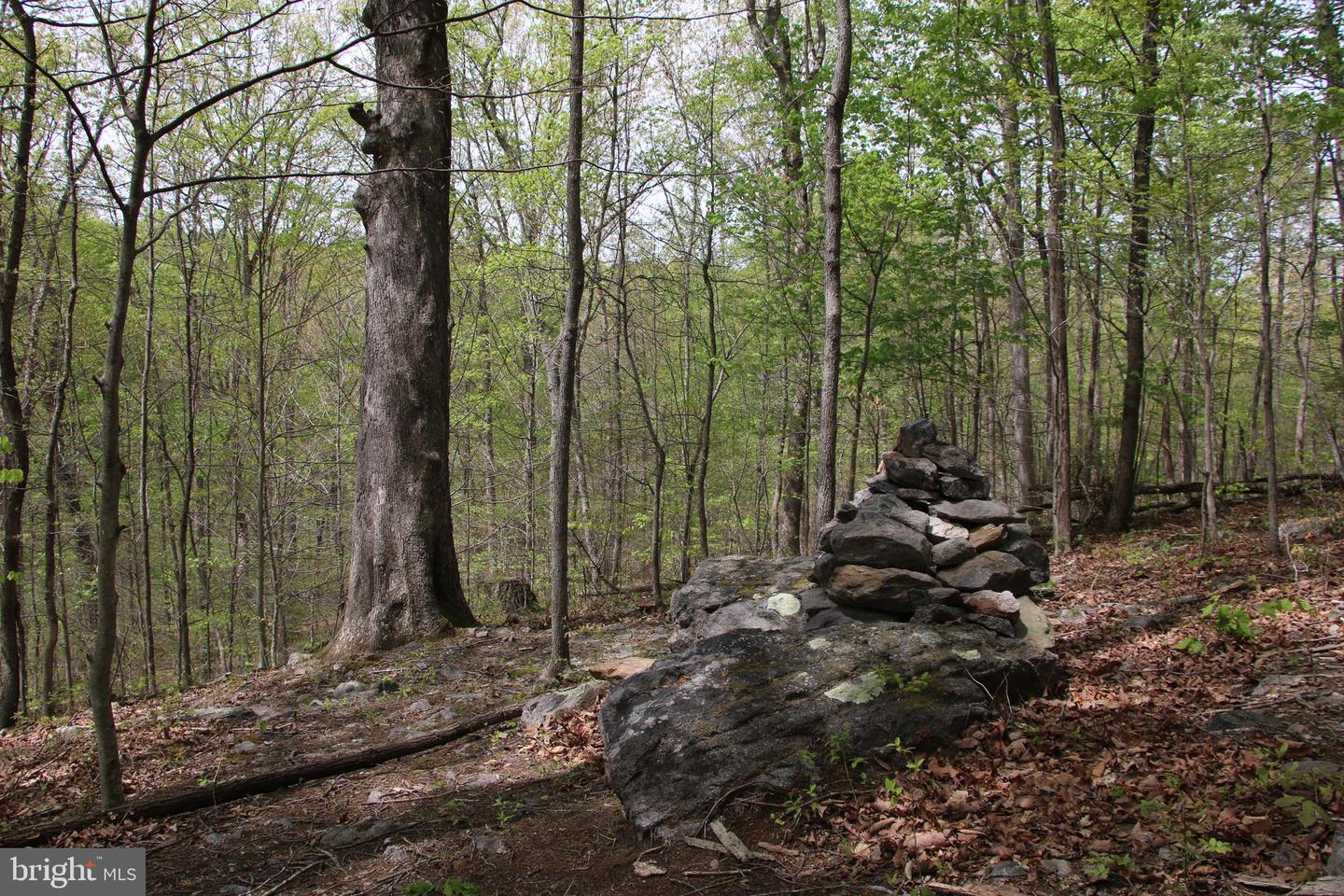 Drummer Hill Rd Property Photo 7