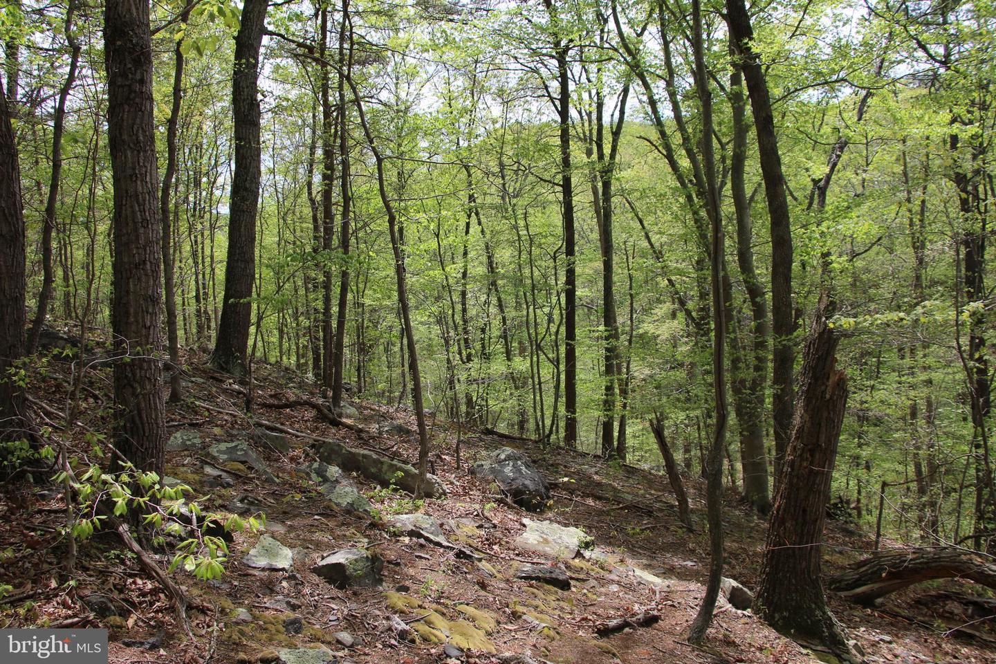 Drummer Hill Rd Property Photo 11