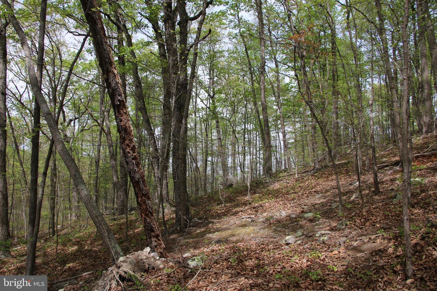 Drummer Hill Rd Property Photo 12
