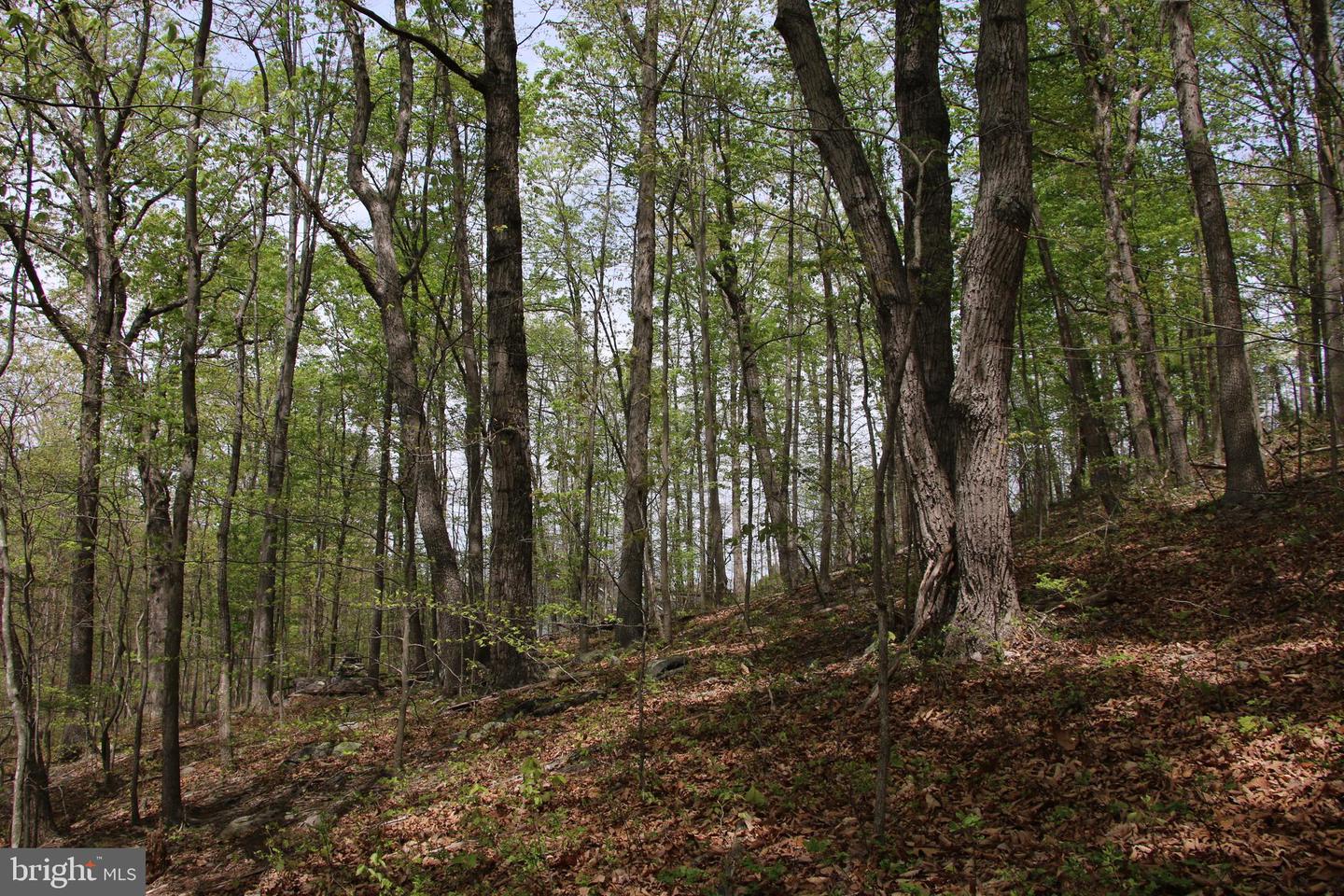 Drummer Hill Rd Property Photo 13