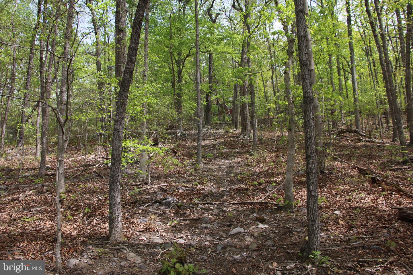 Drummer Hill Rd Property Photo 14