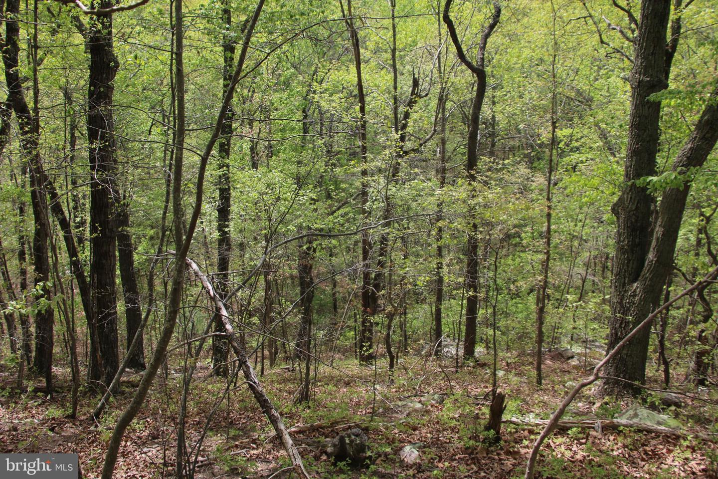 Drummer Hill Rd Property Photo 17