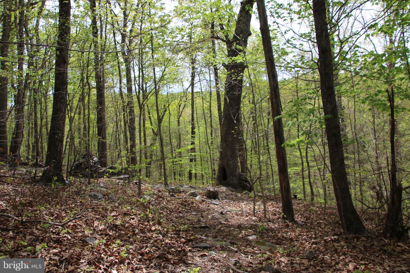 Drummer Hill Rd Property Photo 18