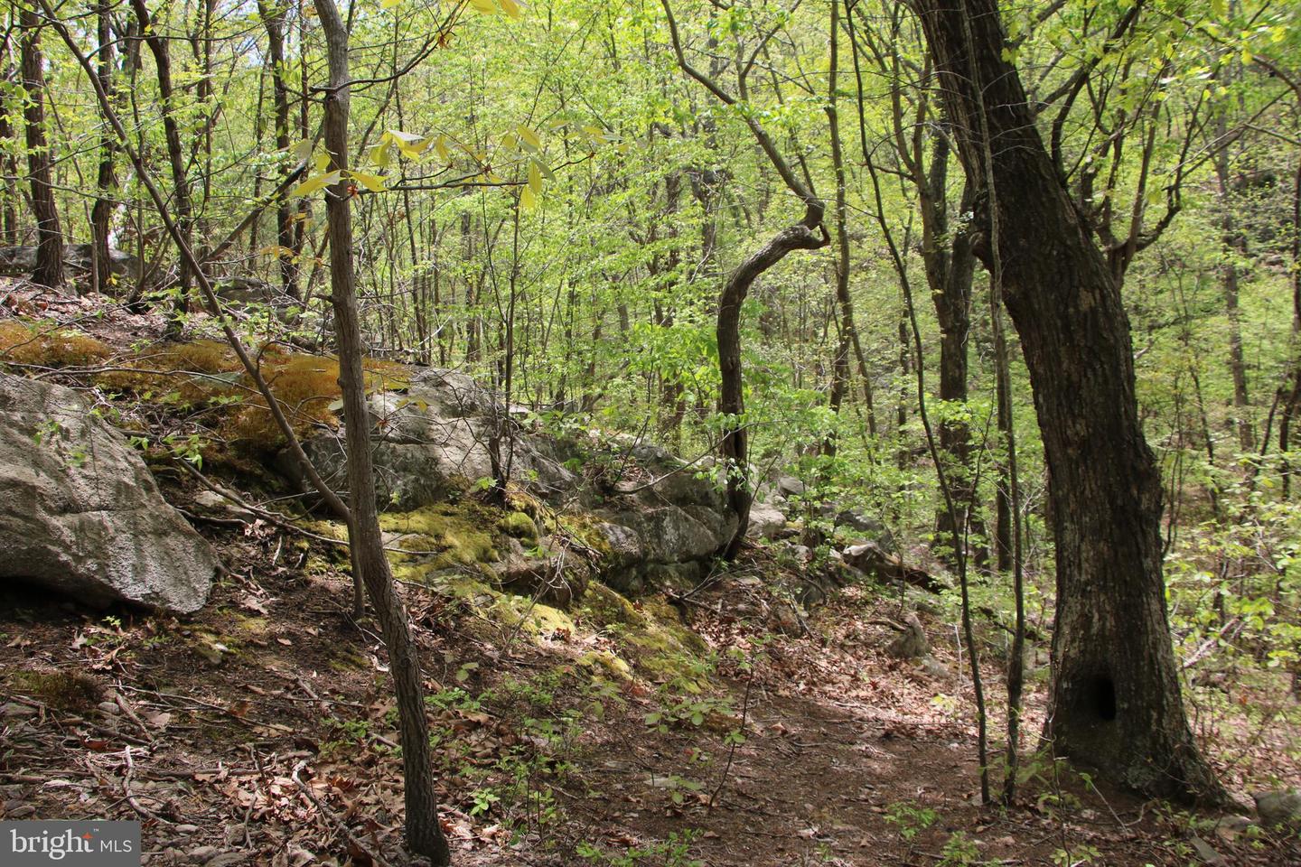 Drummer Hill Rd Property Photo 19