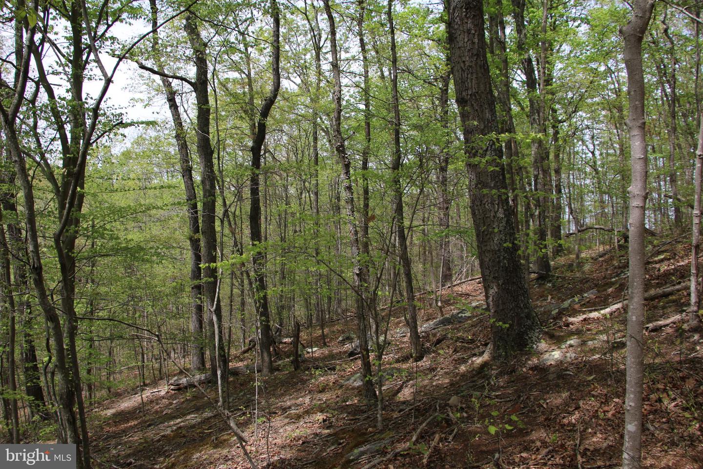 Drummer Hill Rd Property Photo 21