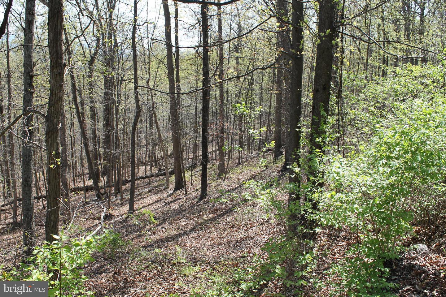 Hillandale Rd Property Photo 1