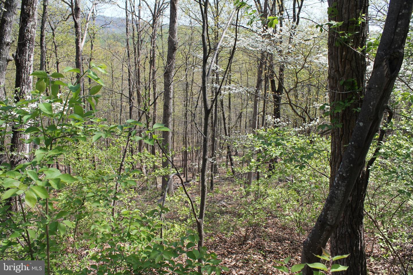 Hillandale Rd Property Photo 3