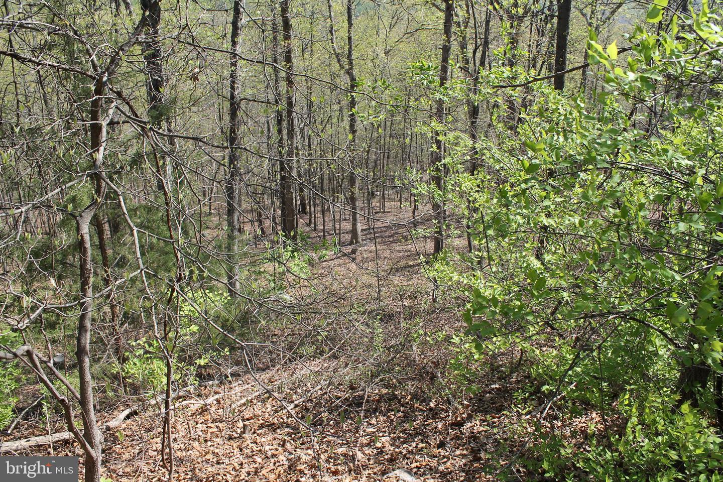 Hillandale Rd Property Photo 6