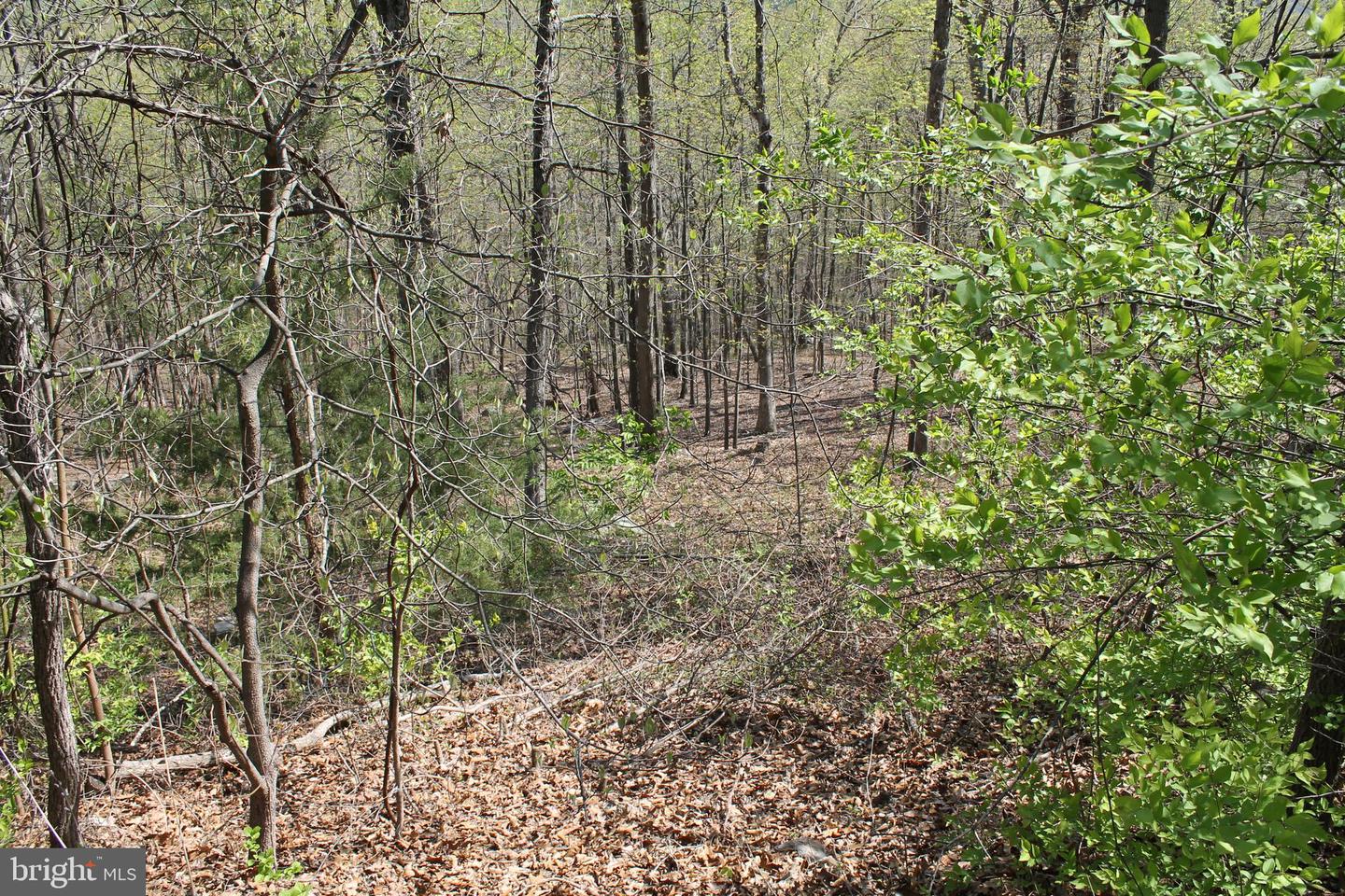 Hillandale Rd Property Photo 7