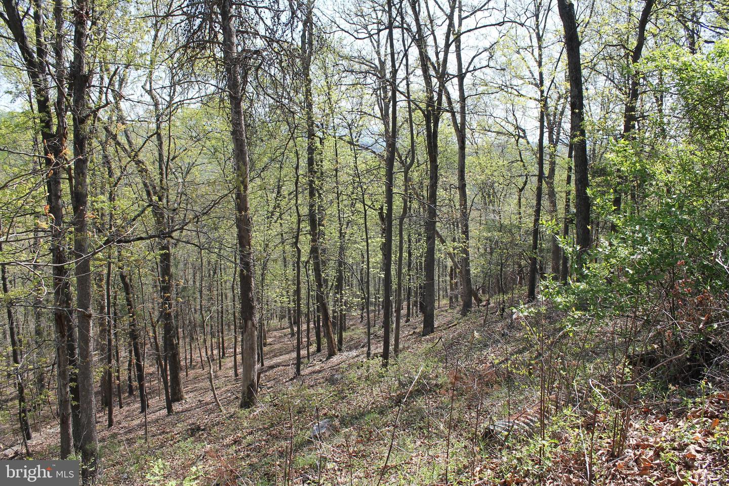Hillandale Rd Property Photo 8