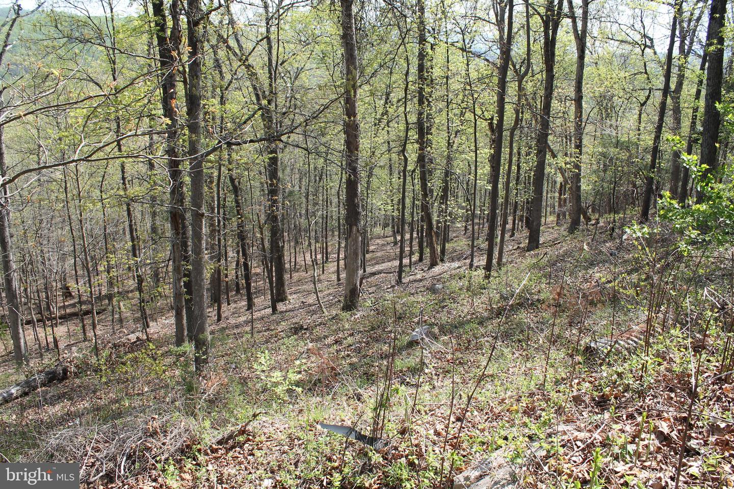 Hillandale Rd Property Photo 9
