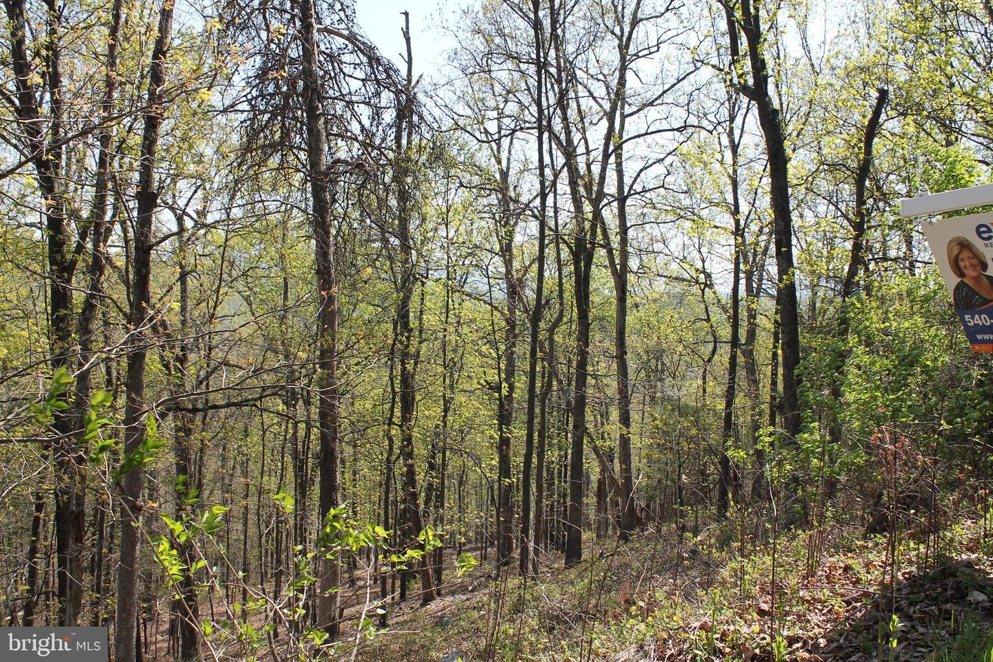 Hillandale Rd Property Photo 10