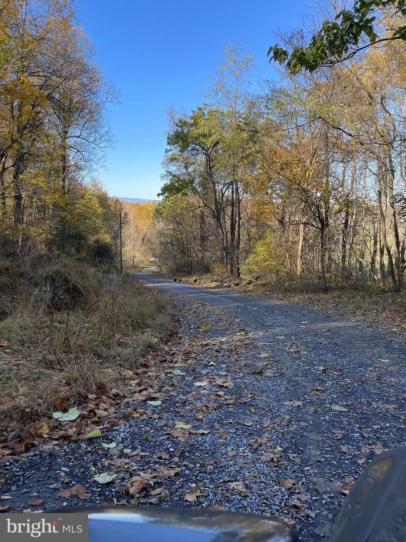 Wapping Farm Rd Property Photo 1