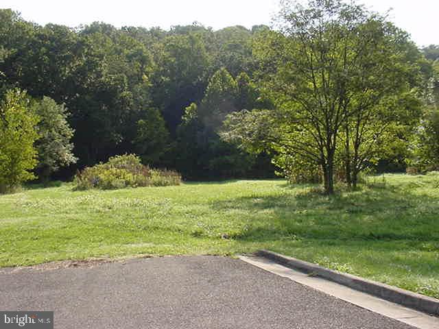 1743 & 1759 Dismal Hollow Rd Property Photo 11