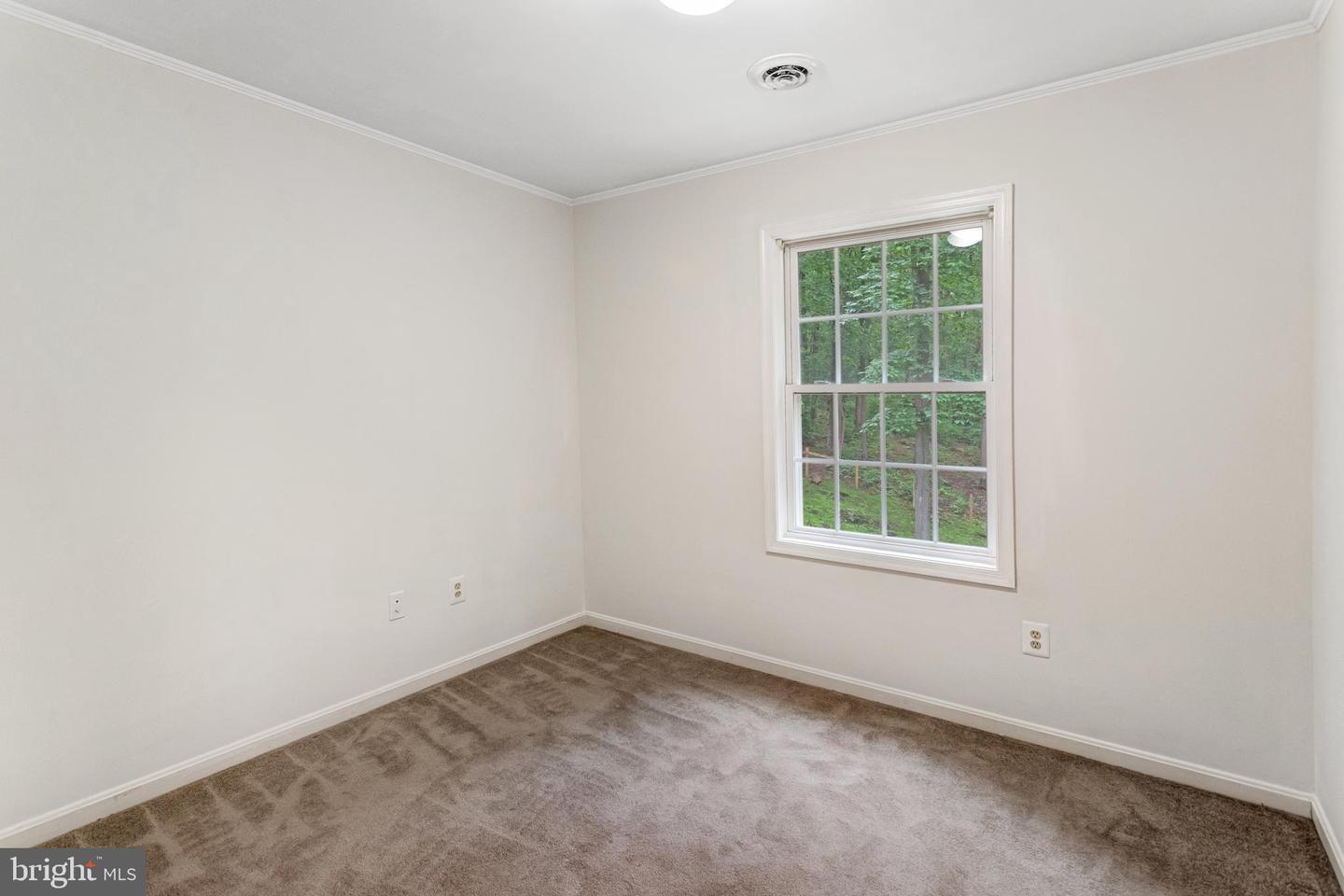 244 Marsden Heights Rd Property Photo 19