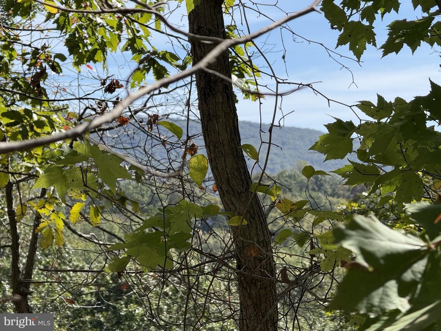 Lot 59 Old Oregon Rd Property Photo 4