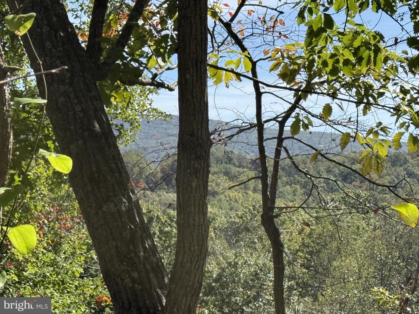 Lot 59 Old Oregon Rd Property Photo 5