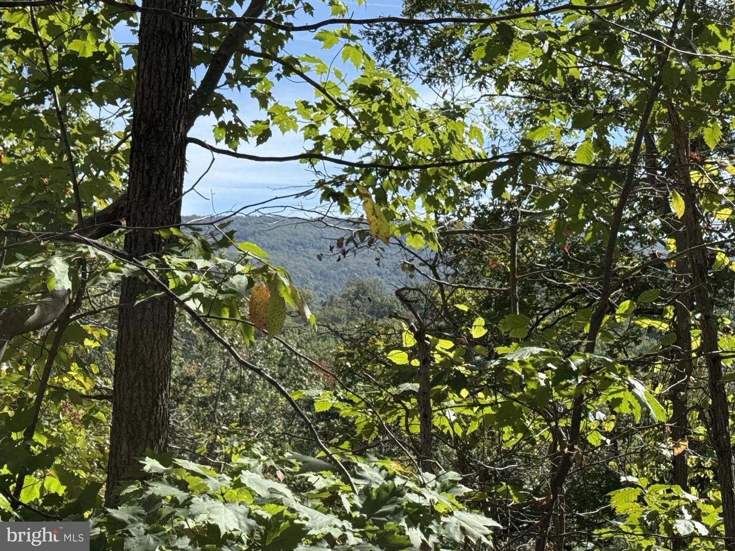Lot 59 Old Oregon Rd Property Photo 6
