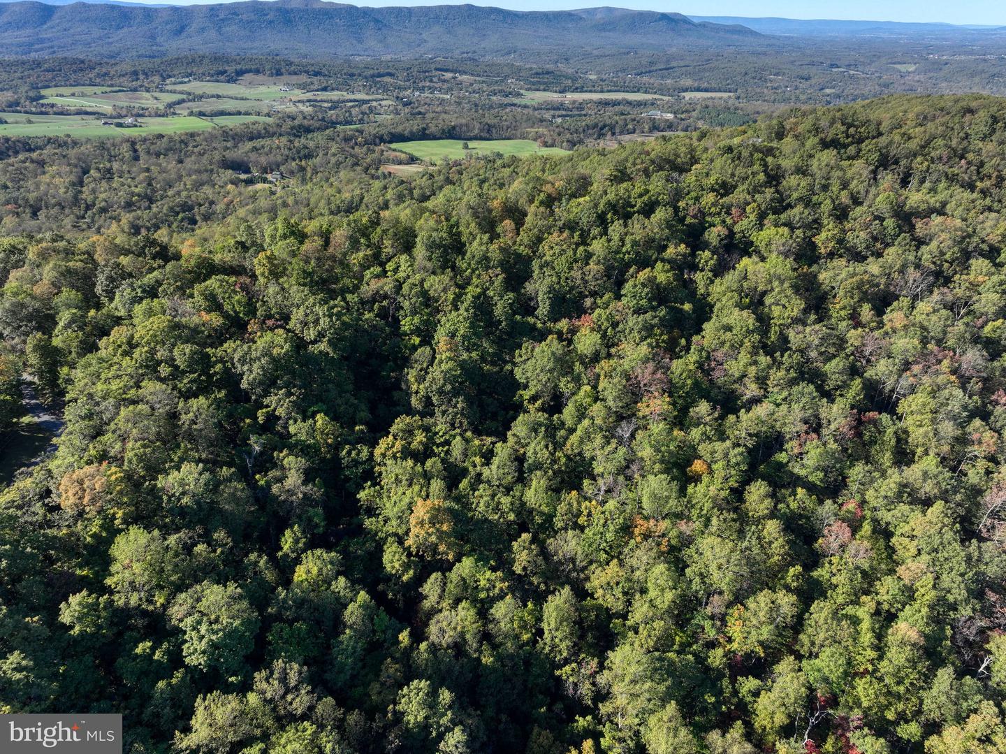 Lot 14 Seven Oaks Dr Property Photo 16