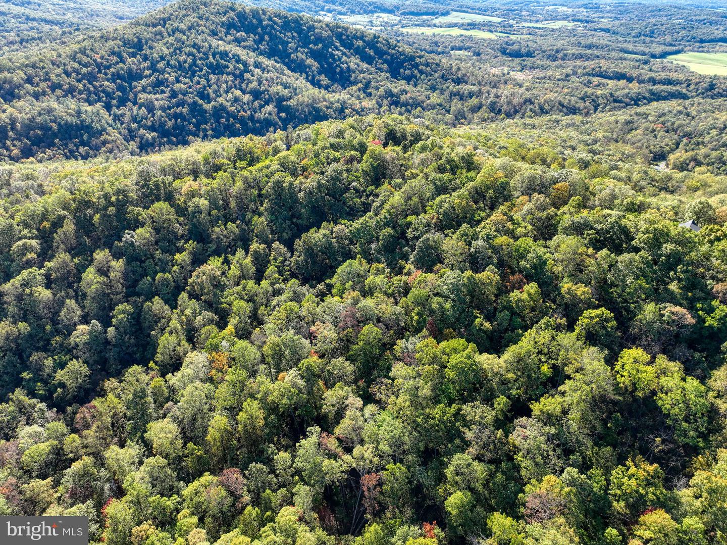 Lot 14 Seven Oaks Dr Property Photo 17