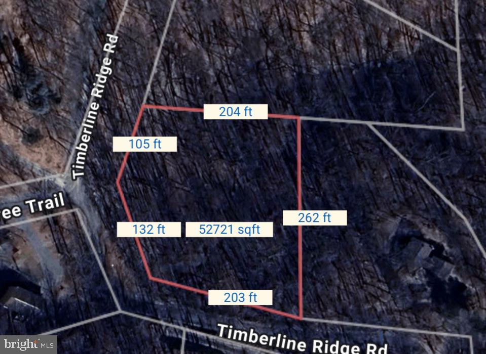 0 Timberline Ridge Rd Property Photo 1