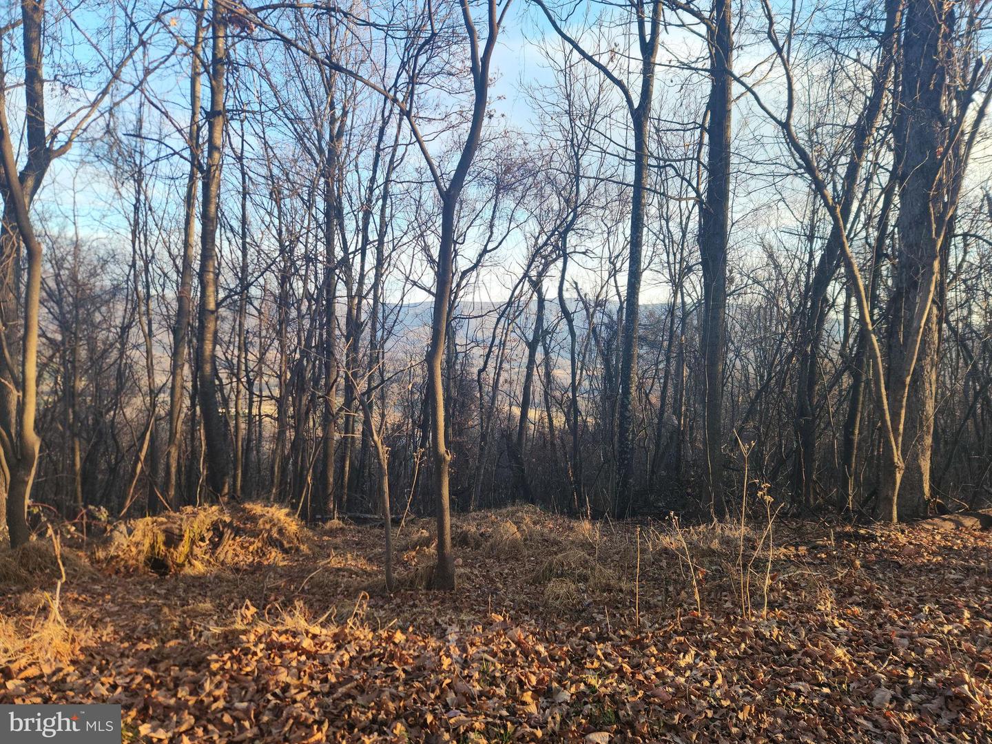 Lot 13 Seven Oaks Dr Property Photo 6