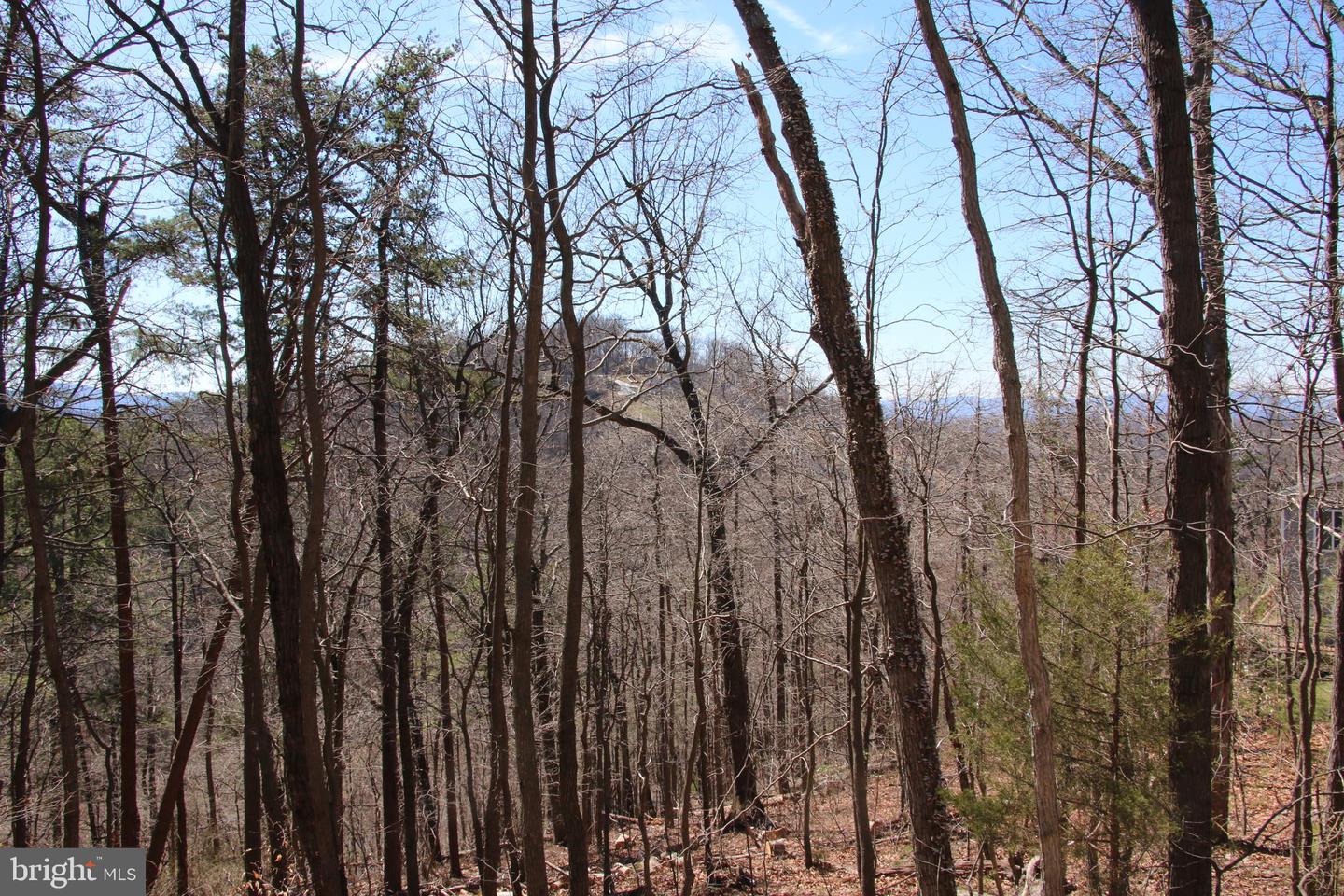 Wendy Hill Rd Property Photo 4