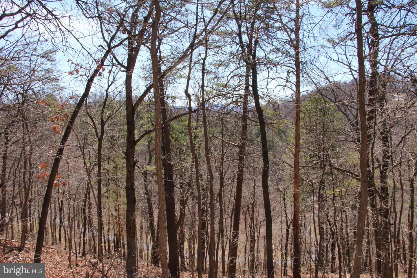 Wendy Hill Rd Property Photo 5