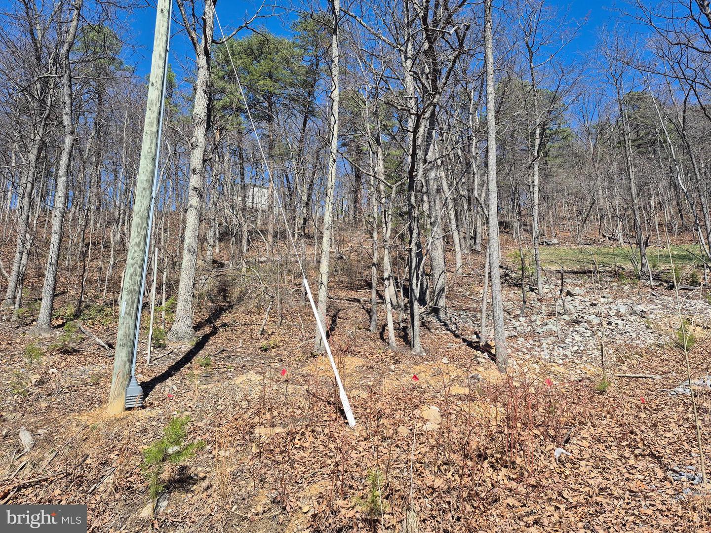 Wendy Hill Rd Property Photo 7