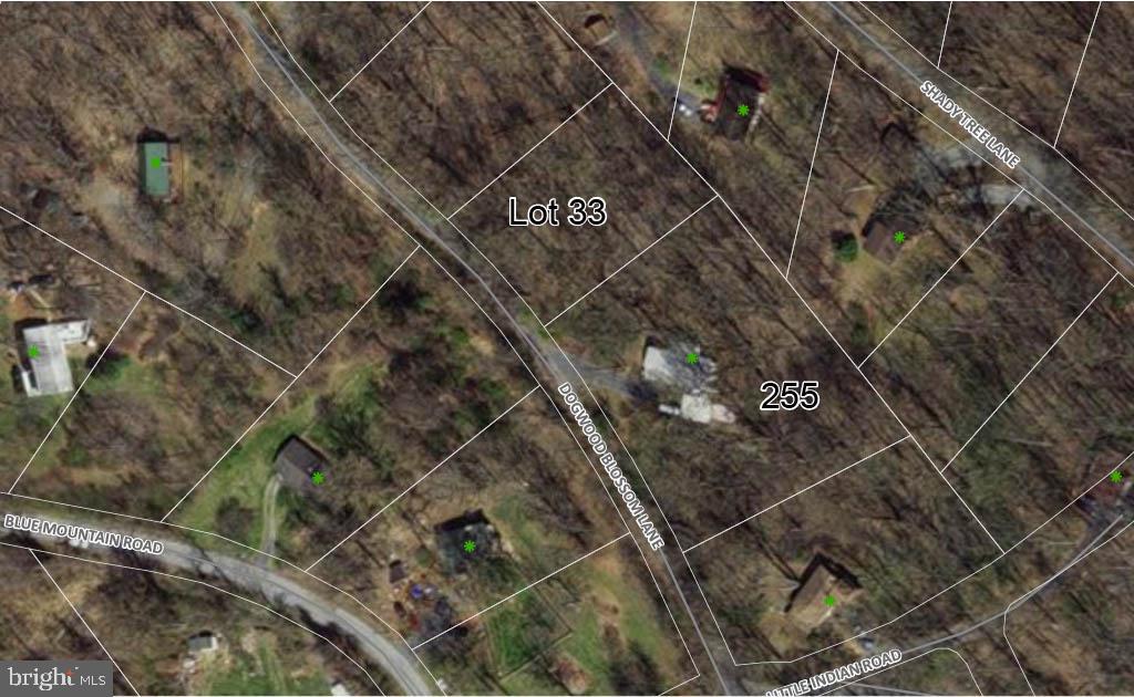 Lot 33 Dogwood Blossom Ln Property Photo 1