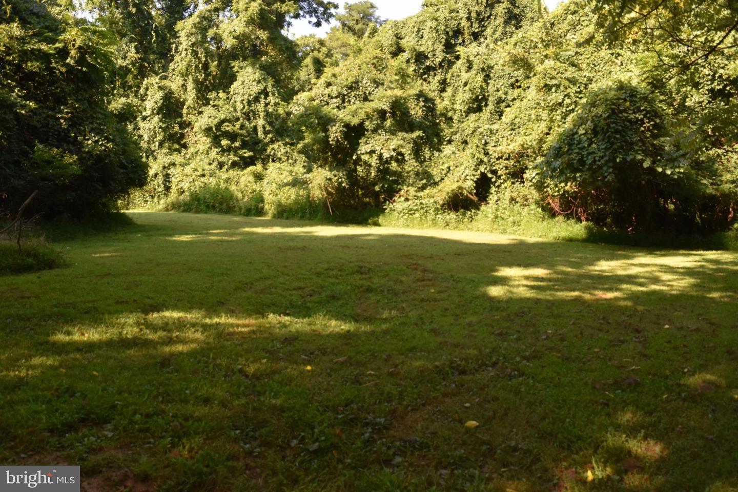 Lot 33 Dogwood Blossom Ln Property Photo 5